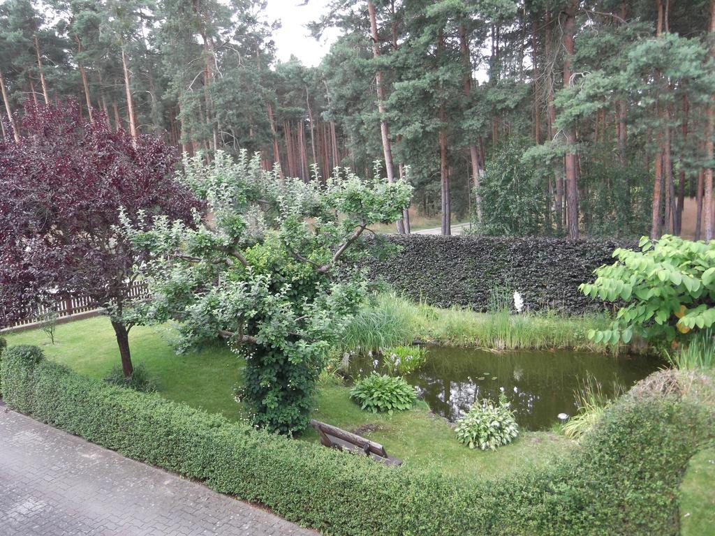 Amselgarten Lubben Bagian luar foto