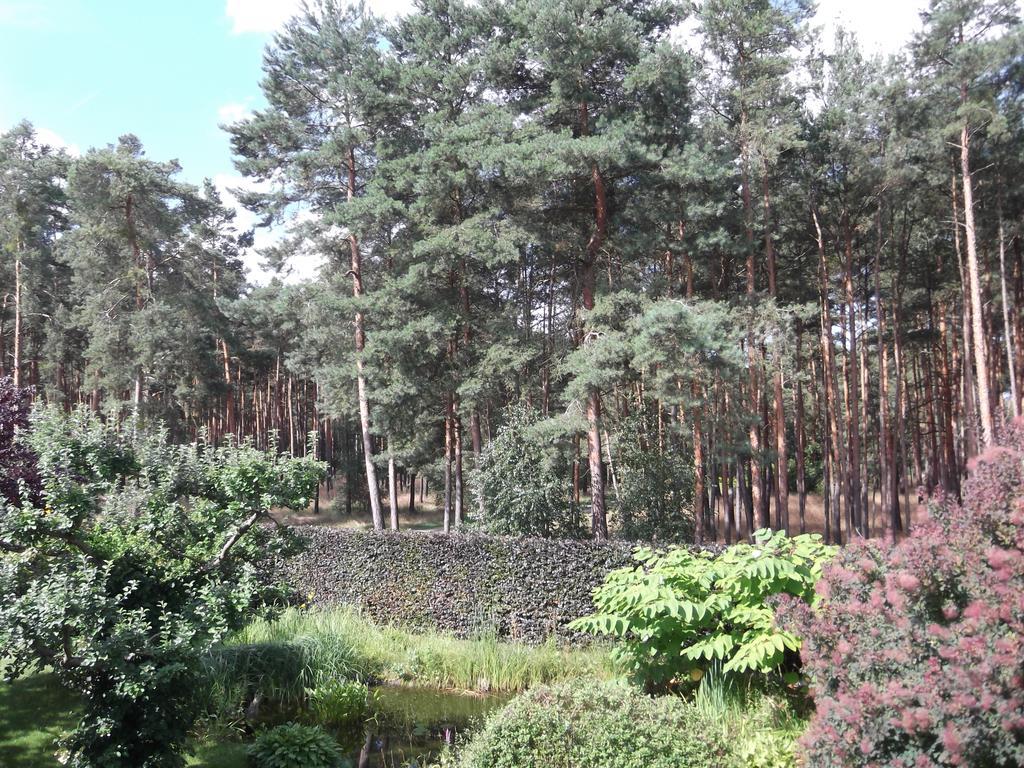 Amselgarten Lubben Bagian luar foto