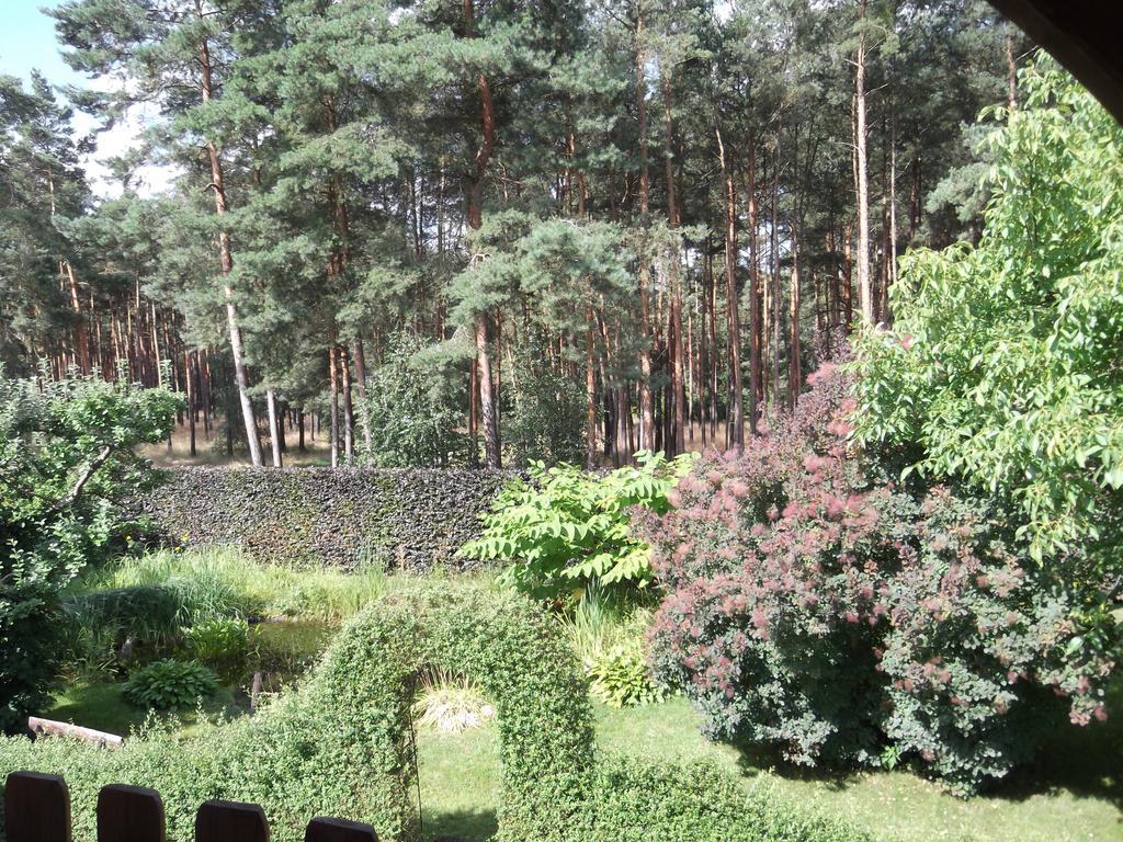 Amselgarten Lubben Bagian luar foto