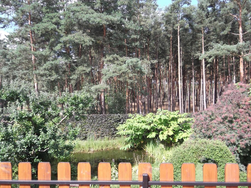 Amselgarten Lubben Bagian luar foto
