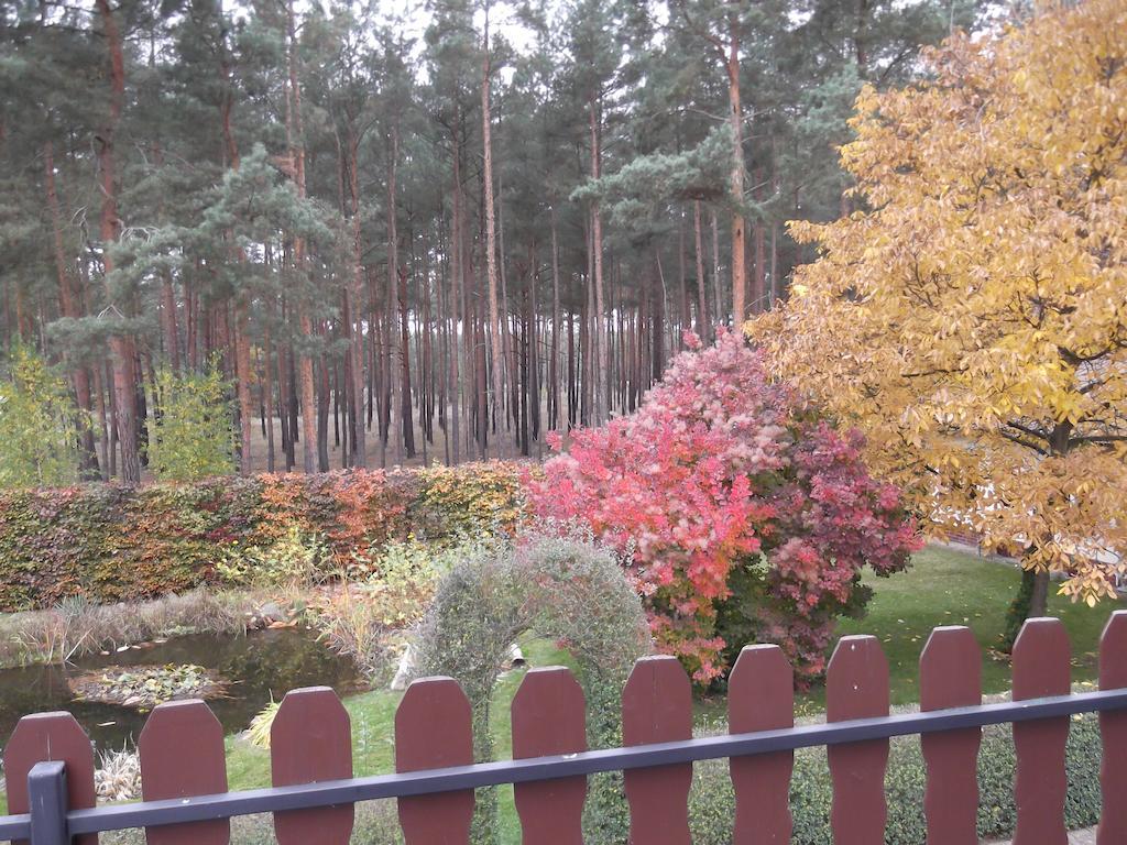 Amselgarten Lubben Bagian luar foto